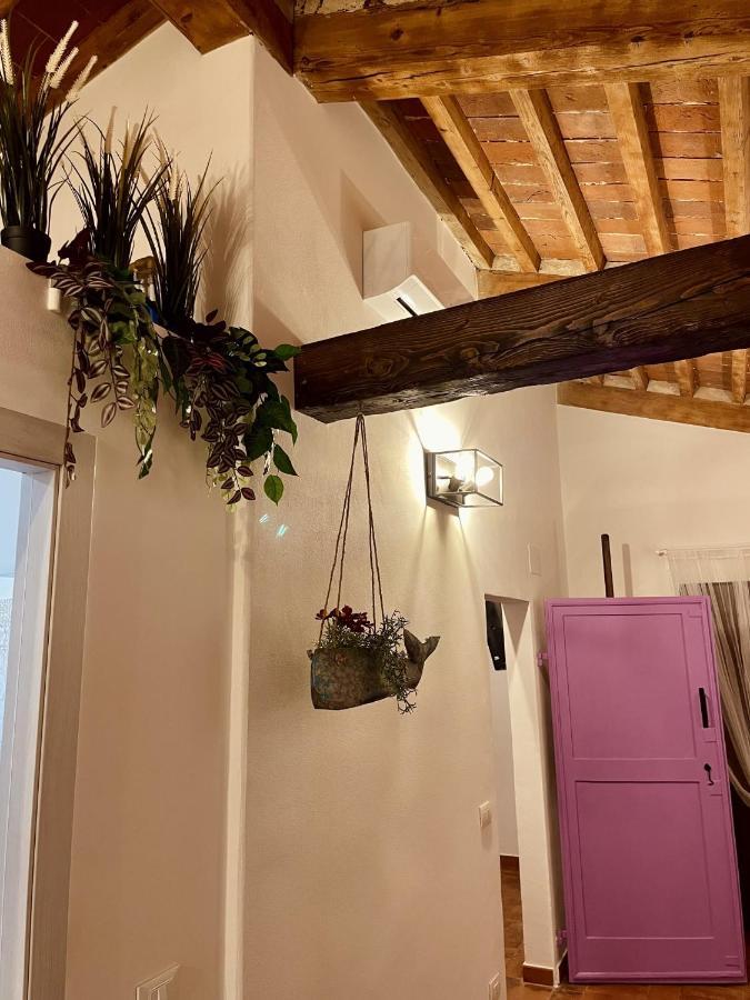 Modi Loft Appartement Livorno Buitenkant foto